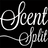 site-logo